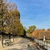 Ein Park in Paris im Herbst.