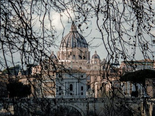 Blick auf den Petersdom durch winterliche Bäume.