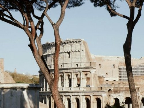 Das Kolesseum in Rom im Frühling.