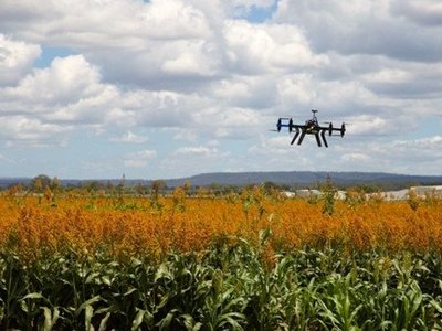 Drohne schwebt über einer landwirtschaftlichen Anbaufläche