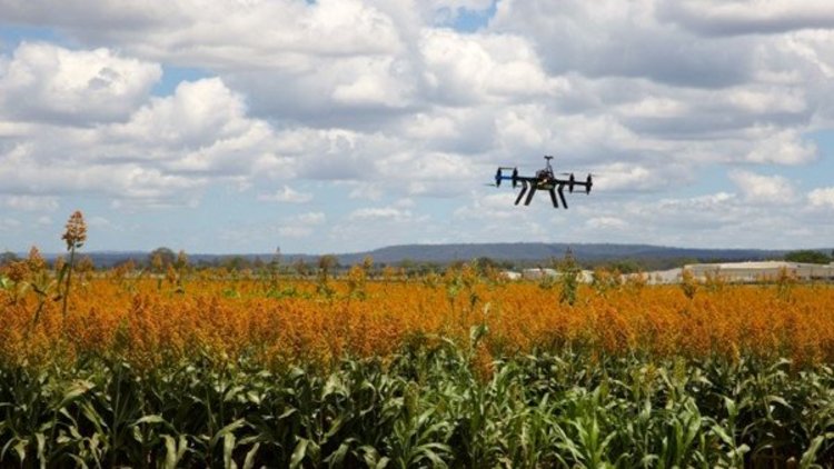 Drohne schwebt über einer landwirtschaftlichen Anbaufläche