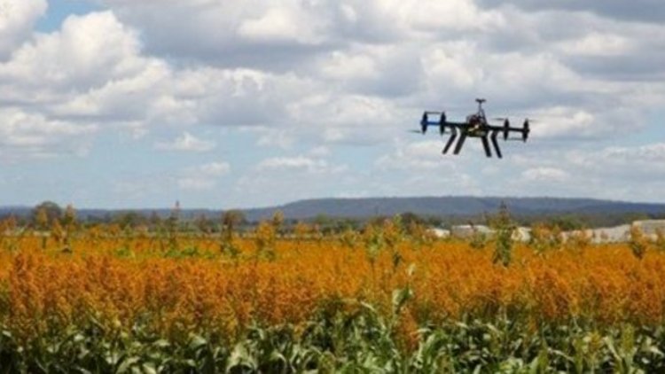 Eine Drohne fliegt über ein Blumenfeld