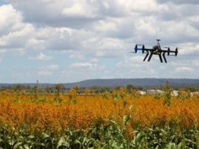 Eine Drohne fliegt über ein Blumenfeld