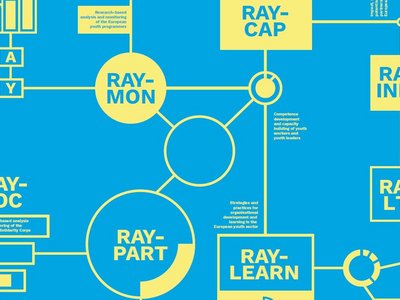 Grafische Darstellung des RAY-Forschungsnetzwerkes