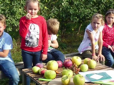 Der Alternativtext wird in Kürze eingefügt