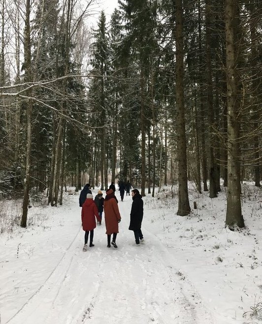 Mehrere Personen spazieren im schneebedeckten Wald