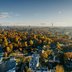 Luftaufnahme von Stadtgebäuden und Bäumen