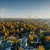 Luftaufnahme von Stadtgebäuden und Bäumen