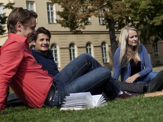 Eine Gruppe junger Erwachsener sitzt auf einer Wiese