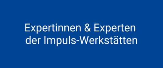 Expertinnen & Experten der Impuls-Werkstätten