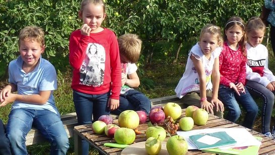 Der Alternativtext wird in Kürze eingefügt