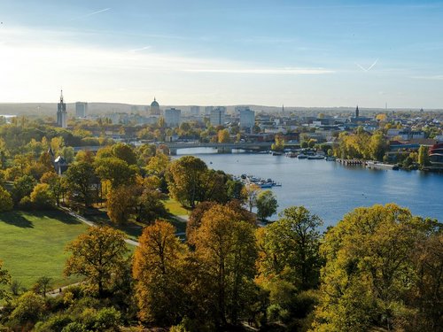 Luftbild von Potsdam - Wald in der Nähe von Wasser