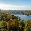 Luftbild von Potsdam - Wald in der Nähe von Wasser