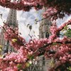 Blick auf eine Kirche im Frühing