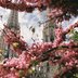 Blick auf eine Kirche im Frühing