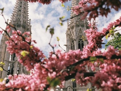 Blick auf eine Kirche im Frühing